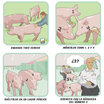 broma cerdos