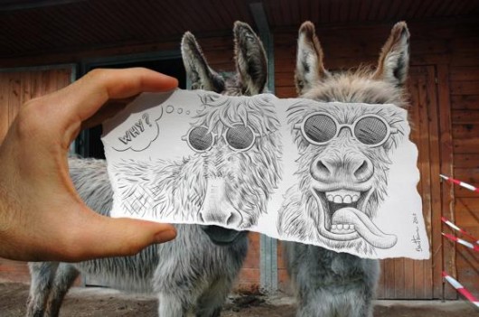 burro dibujo