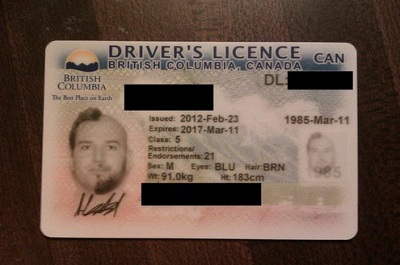 fotos carnet conducir