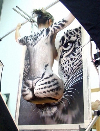 felino pintura