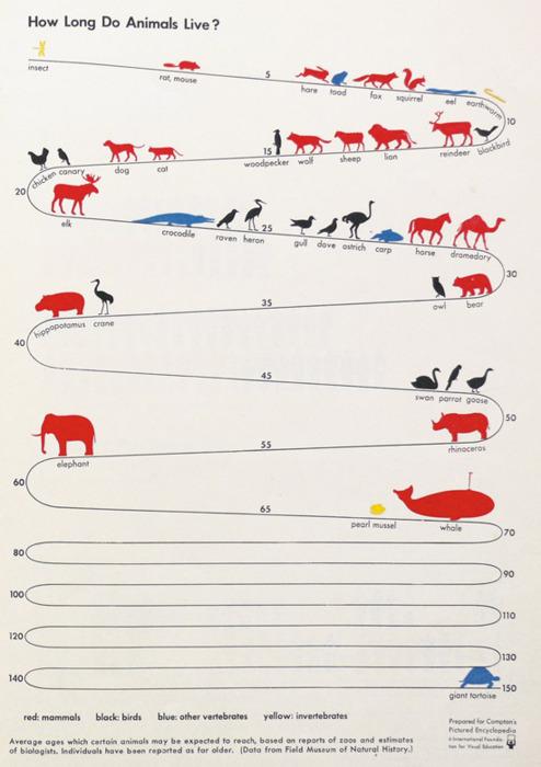 infografia