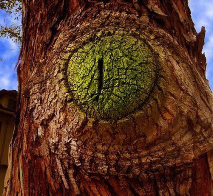 arbol monstruoso