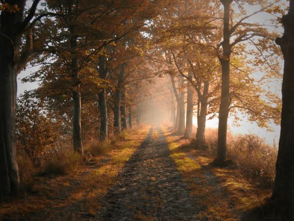 fondos escritorio otoño