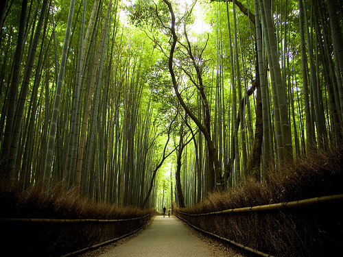 paseo