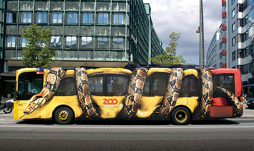 serpiente bus